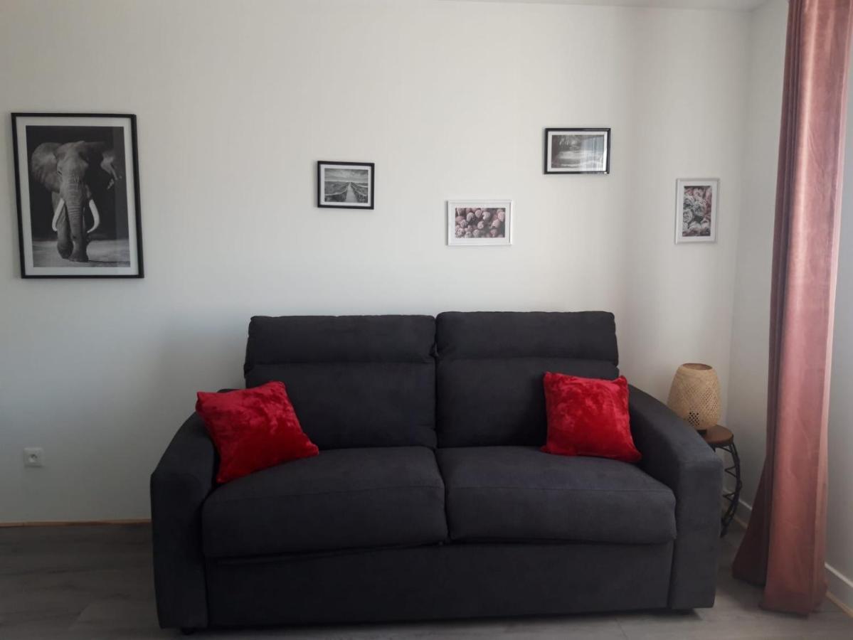 Gambetta Insolite Apartment Chambery Bagian luar foto