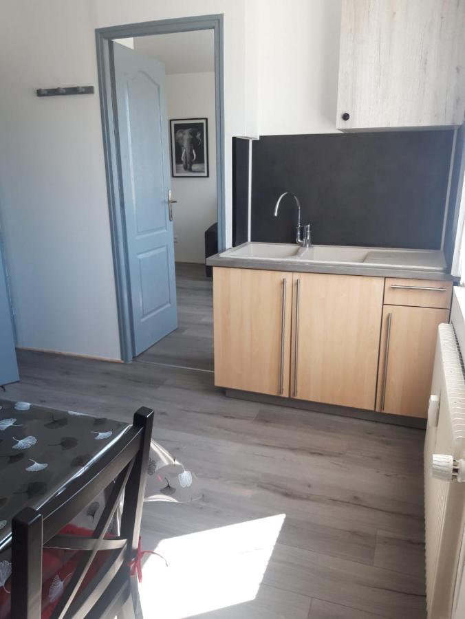 Gambetta Insolite Apartment Chambery Bagian luar foto