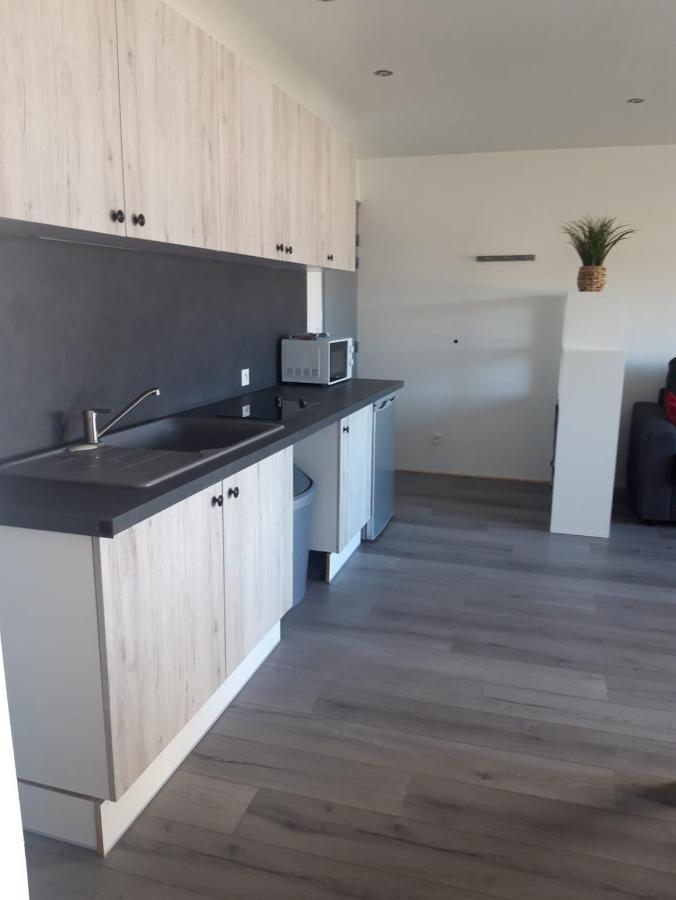 Gambetta Insolite Apartment Chambery Bagian luar foto