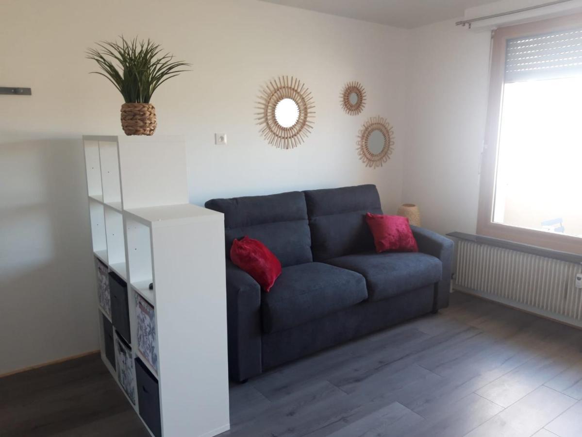 Gambetta Insolite Apartment Chambery Bagian luar foto