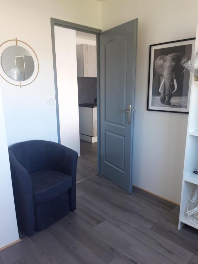 Gambetta Insolite Apartment Chambery Bagian luar foto